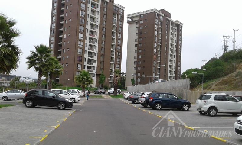 ARRIENDO DEPARTAMENTO GASTOS COMUNES INCLUIDOS QUILPUE